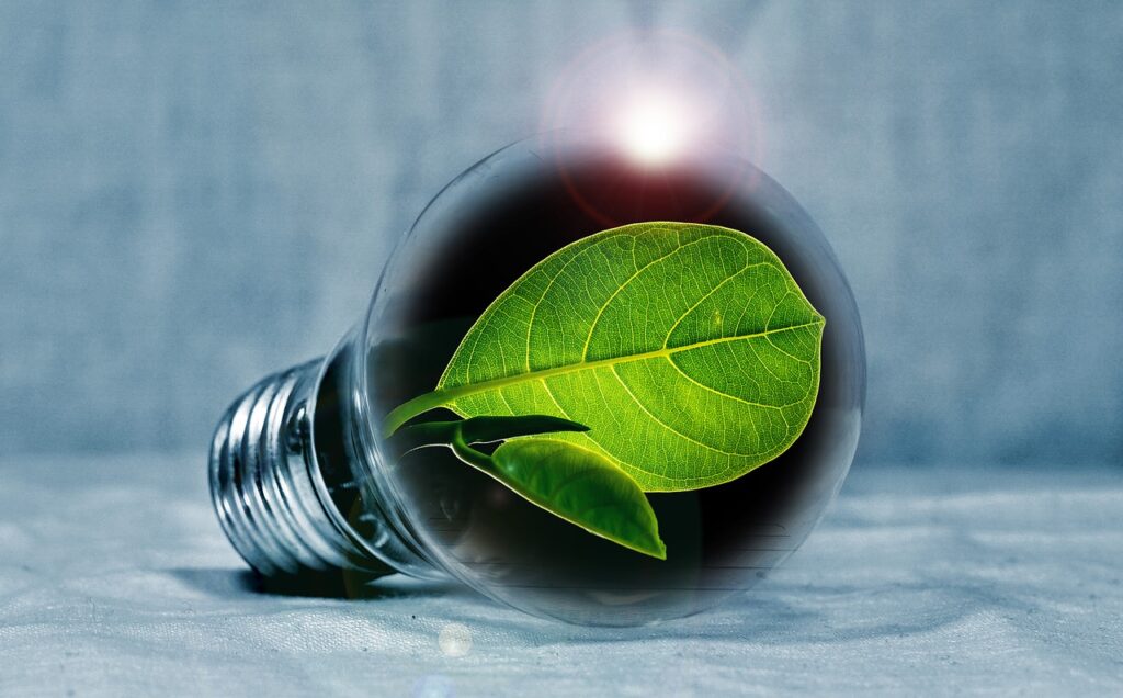 light bulb, leaf, chlorophyll-2631864.jpg